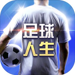 皇冠下载安装官网